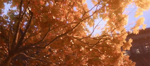 1611626800236944.jpg 未標題-1.jpg