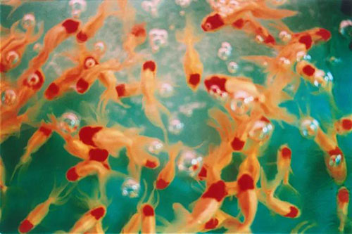 1613703622318100.jpg 640 (1).jpg